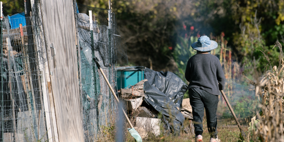 Walking on an allotment